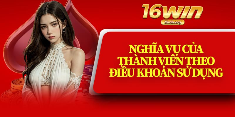 Nghĩa Vụ Của Thành Viên Theo Điều Khoản Sử Dụng